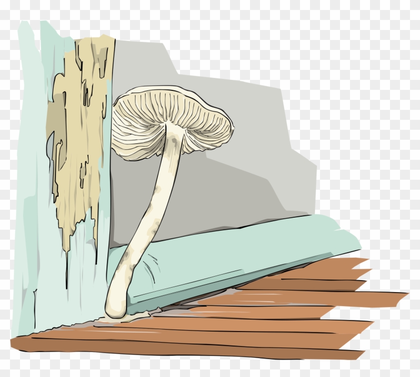 This Free Icons Png Design Of Champigon, Mushroom - Illustration Clipart