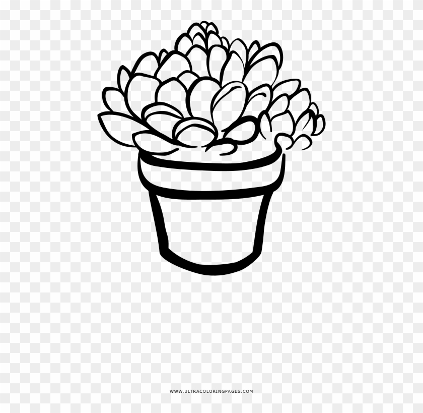 Succulent Coloring Page - Line Art Clipart