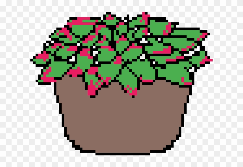 Succulent Plant Clipart #2989137