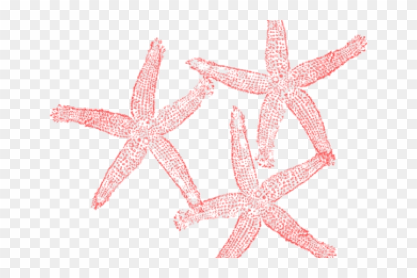 Fish Clip Art - Png Download