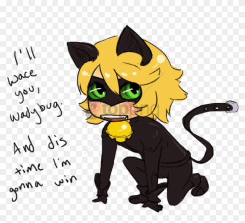 Free Png Download Miraculous Kitten Noir Png Images - Cartoon Clipart