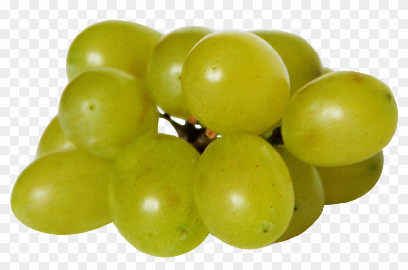 Grapes - Dürfen Hunde Weintrauben Essen Clipart #2990811