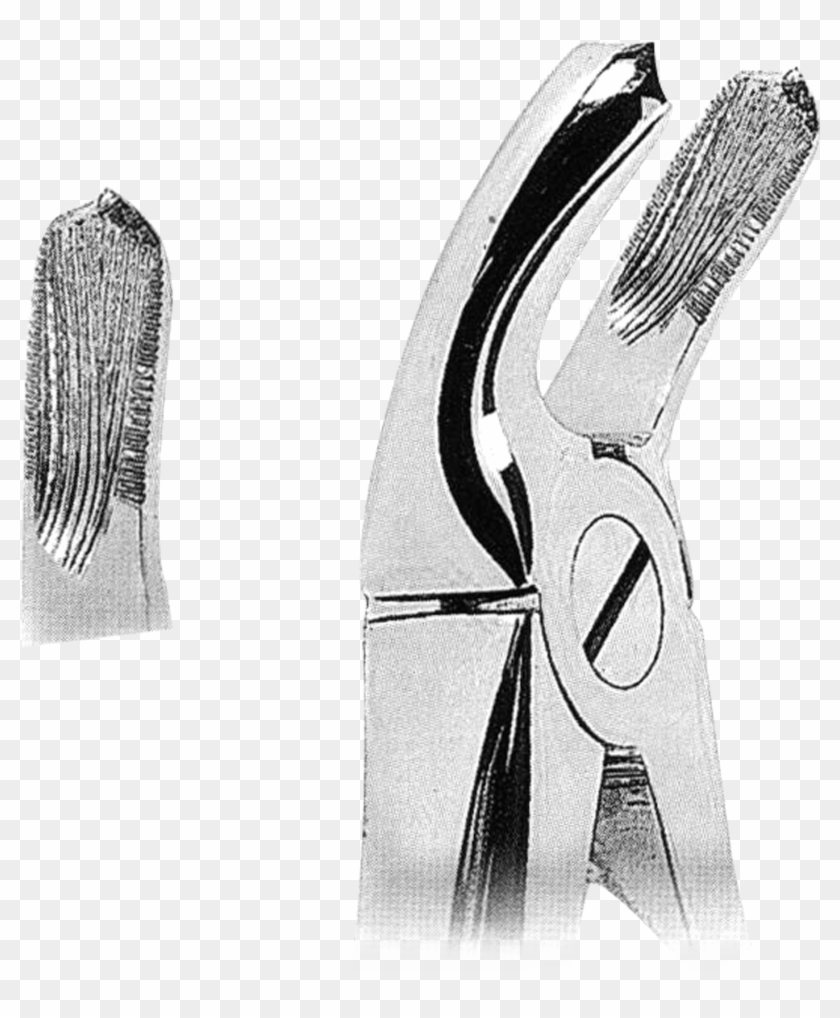 Ds1015 Fig, 20 Lower Third Molars - Sketch Clipart #2991598