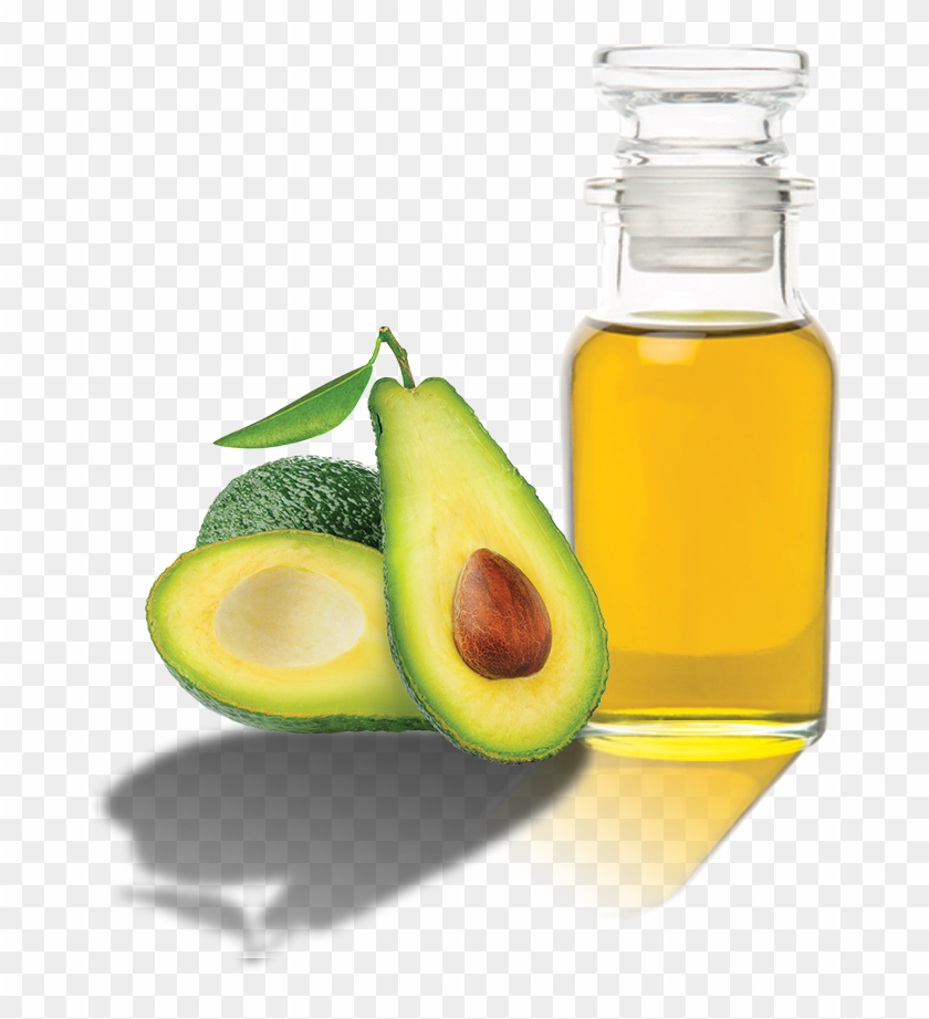 Vector Freeuse Grupo Madivi - Avocado Oil Logo Png Clipart #2991760