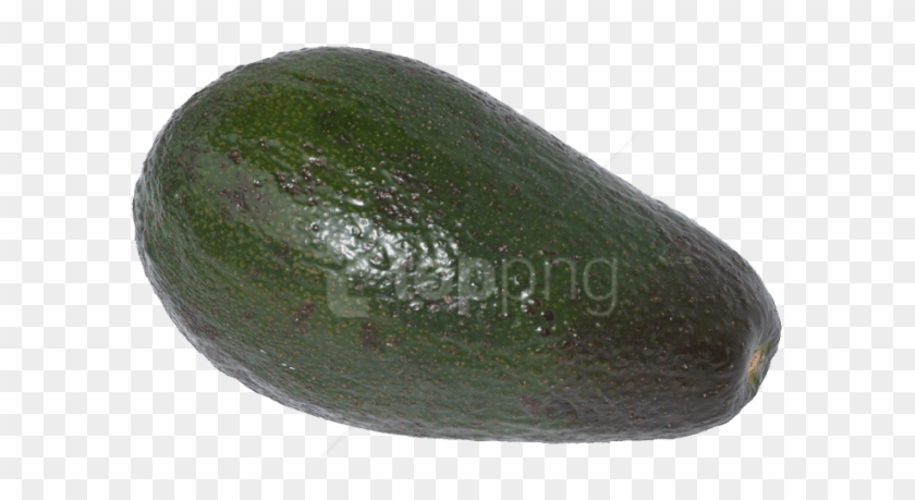 Download Avocado Png Images Background - Zucchini Clipart