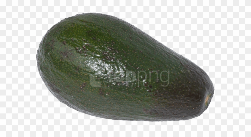 Download Avocado Png Images Background - Zucchini Clipart #2991822