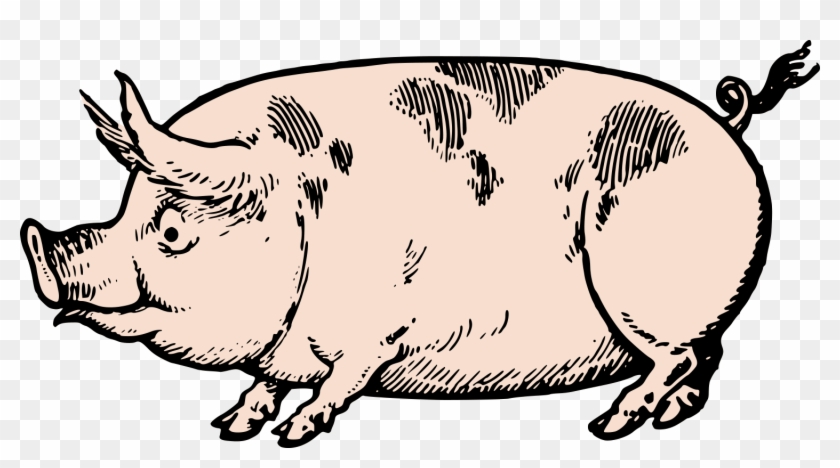 Cute Vintage Pig Clip Art Amp Stock Vector Oh So Nifty - Vintage Pig Clip Art - Png Download #2992119