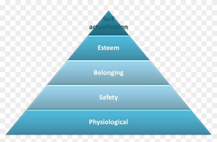 Transparent Pyramid Hierarchy - Hierarchy Of Food Chain Clipart