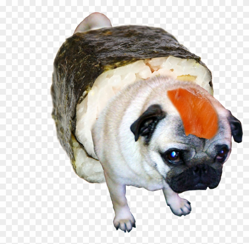 “sushi Pug ” Clipart