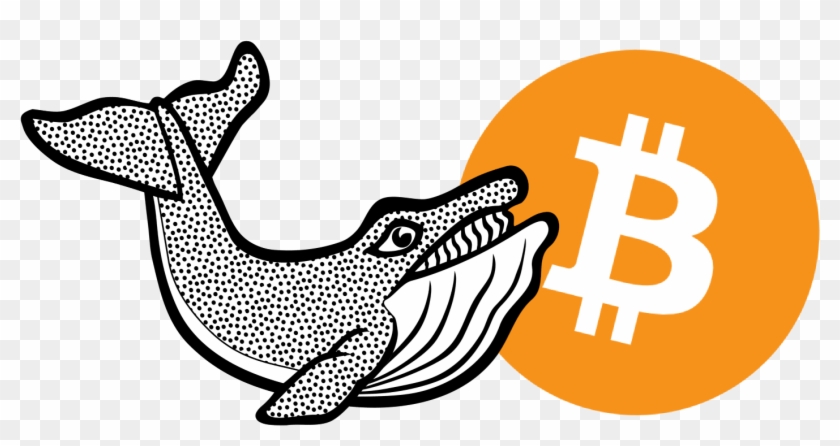 Bitcoin Clipart #2992747