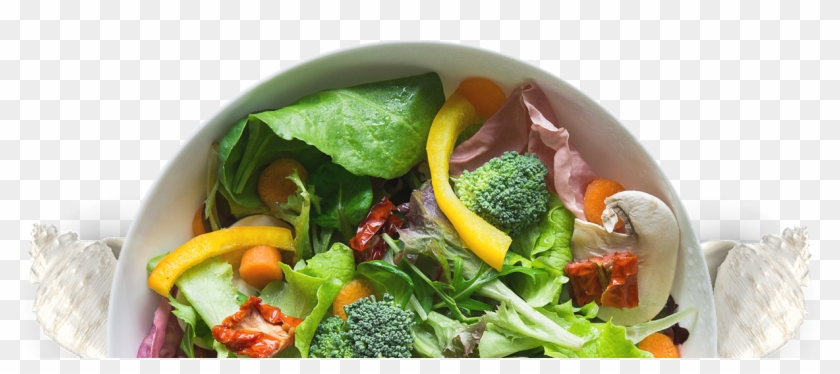 Chop It Or Lett-us Wrap It - 60 Seconds Salad Cutter Bowl Clipart #2992850