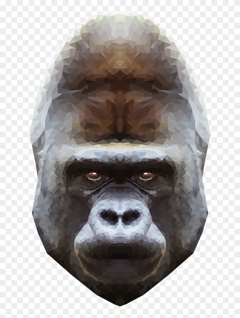 Emmasimoncic Tumblr - Gorilla Png Clipart