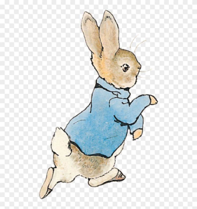 Peter Rabbit Png - Pierre Lapin Beatrix Potter Clipart