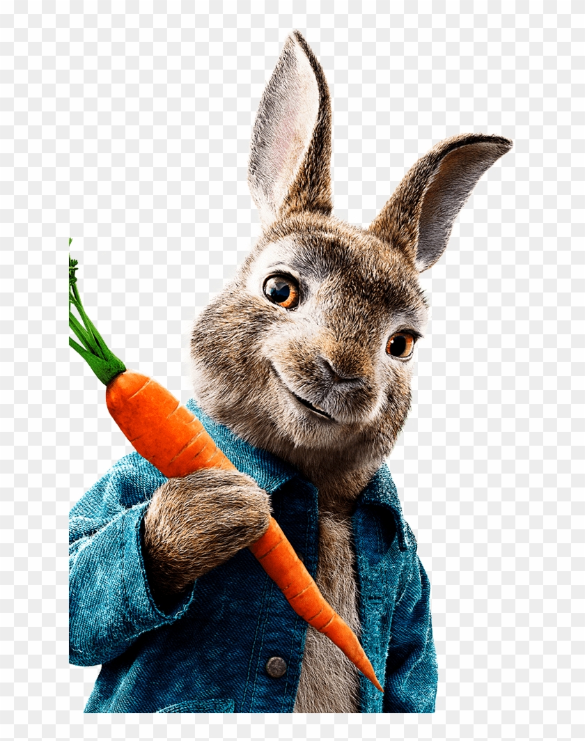 Download Peter Rabbit Peter Rabbit Movie Background Clipart 2995657 Pikpng