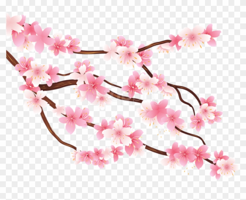 Free Png Download Pink Spring Branch Png Images Background - Clipart Cherry Blossom Png Transparent Png #2996196