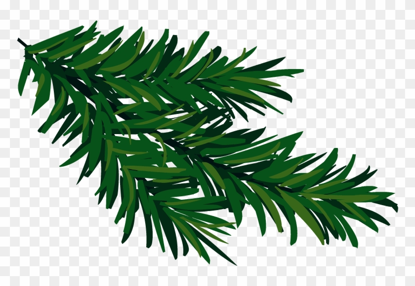 Christmas Tree Branch, Download To Your Desktop Makayla - Yew Family Clipart