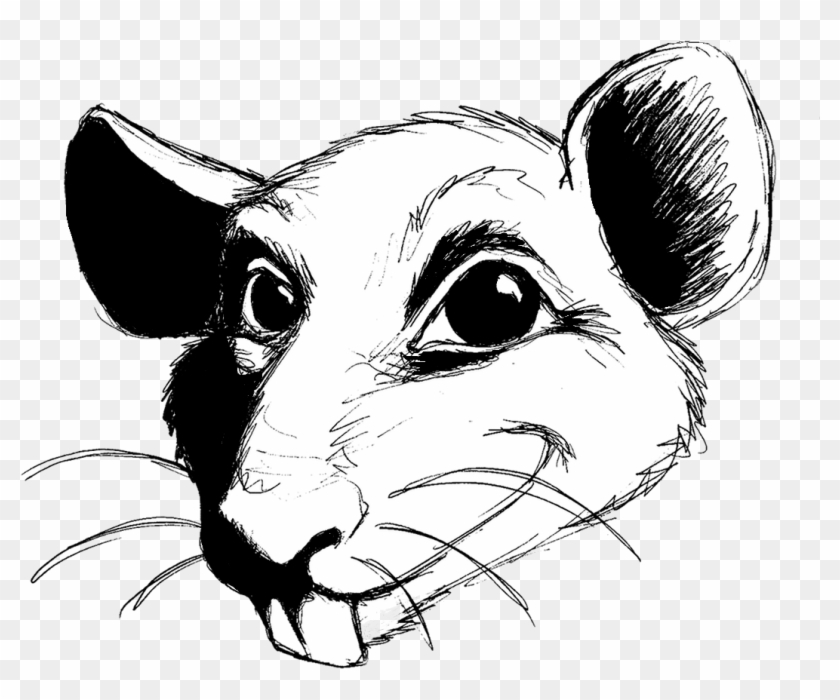 Drawn Rat Transparent - Rat Clipart #2997637