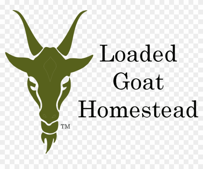 Antelope Clipart #2998152