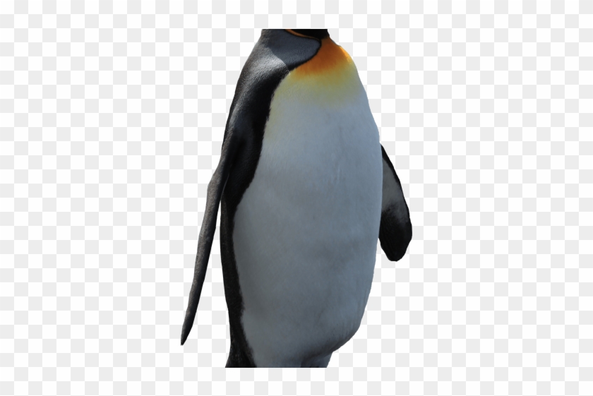 Original - Penguin Clipart