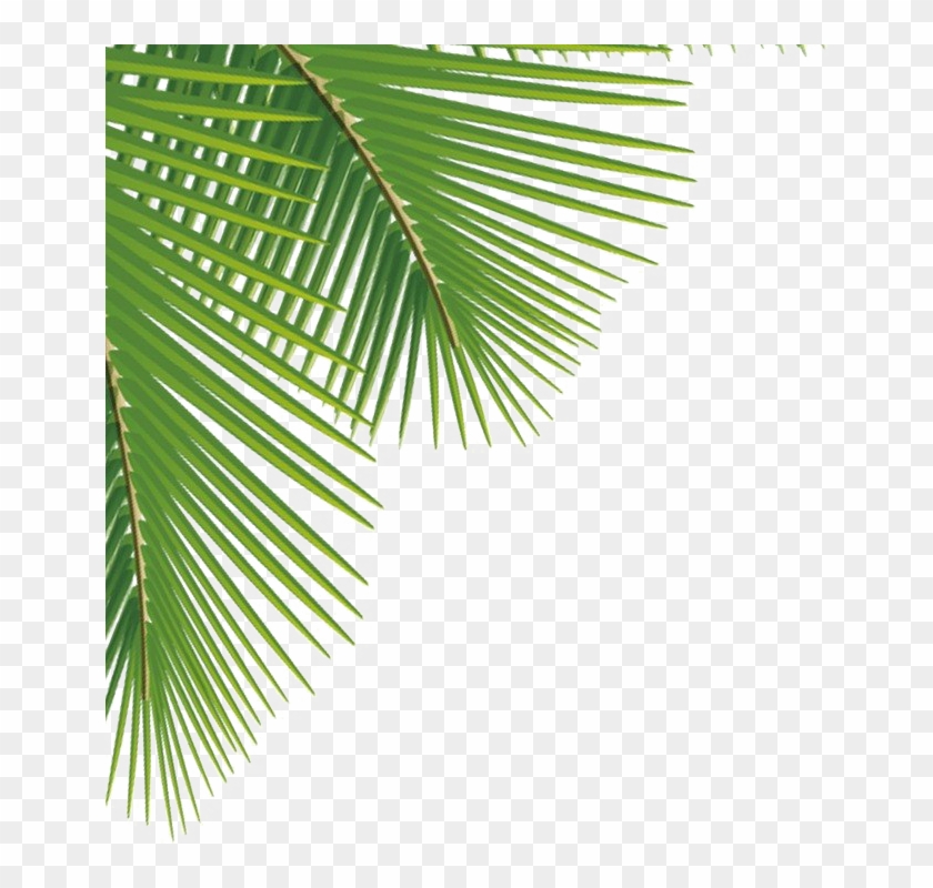 Green Palm Leaves Png Image - Palm Leaves Png Clipart #30281