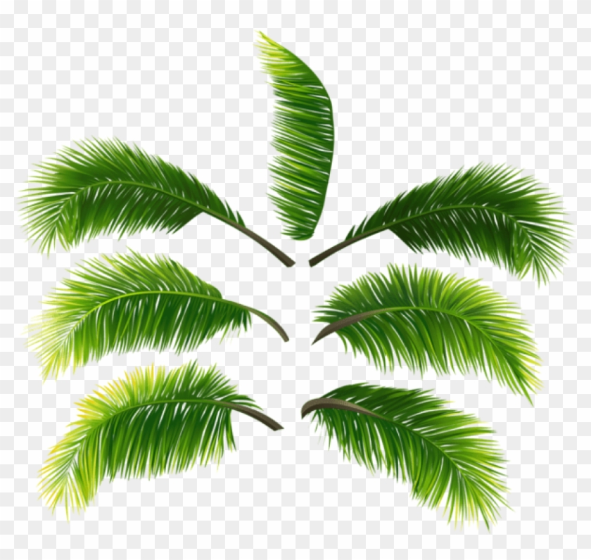 Download Palm Leaves Clipart Png Photo - Quadros Decorativos Com Plantas Transparent Png #30306