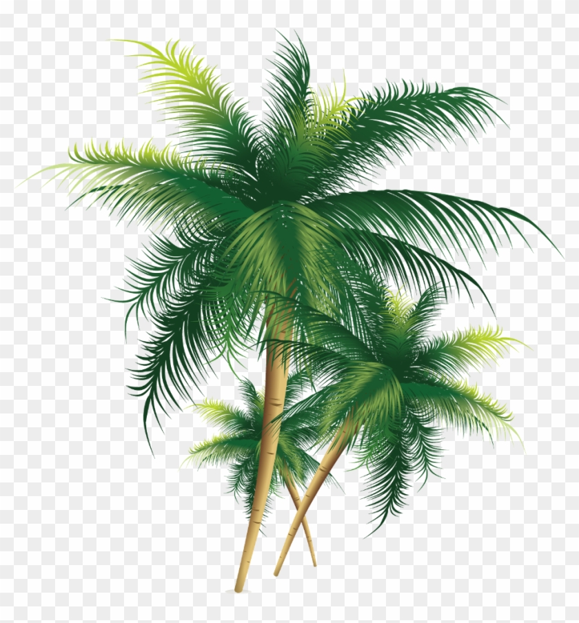 Mq Sticker - Coconut Tree Png Transparent Clipart #30841