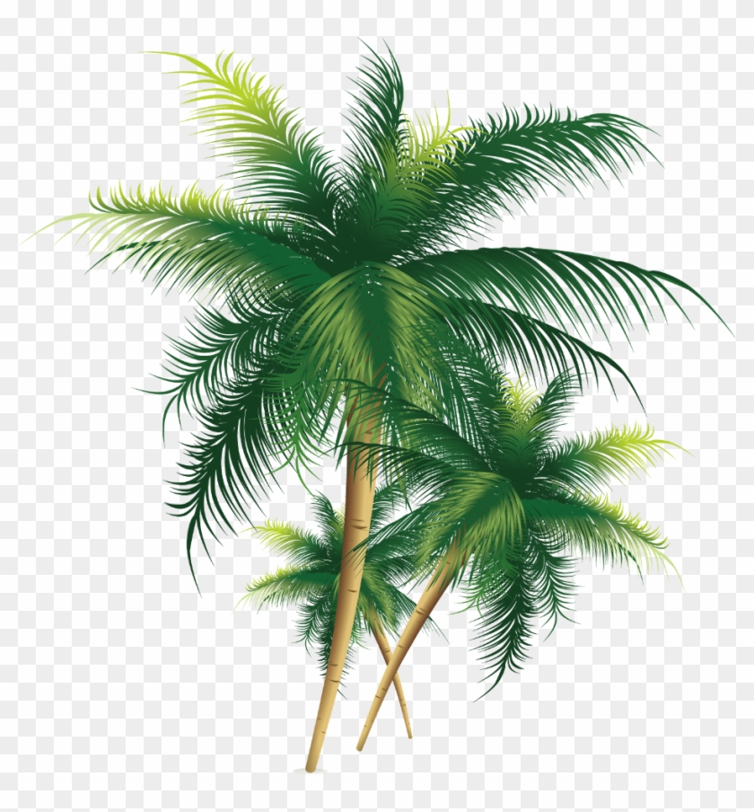 Mq Sticker - Coconut Tree Png Transparent Clipart