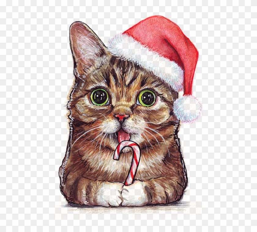 Image Lil Bub In Olga Shvartsur Transparent Clipart #31019