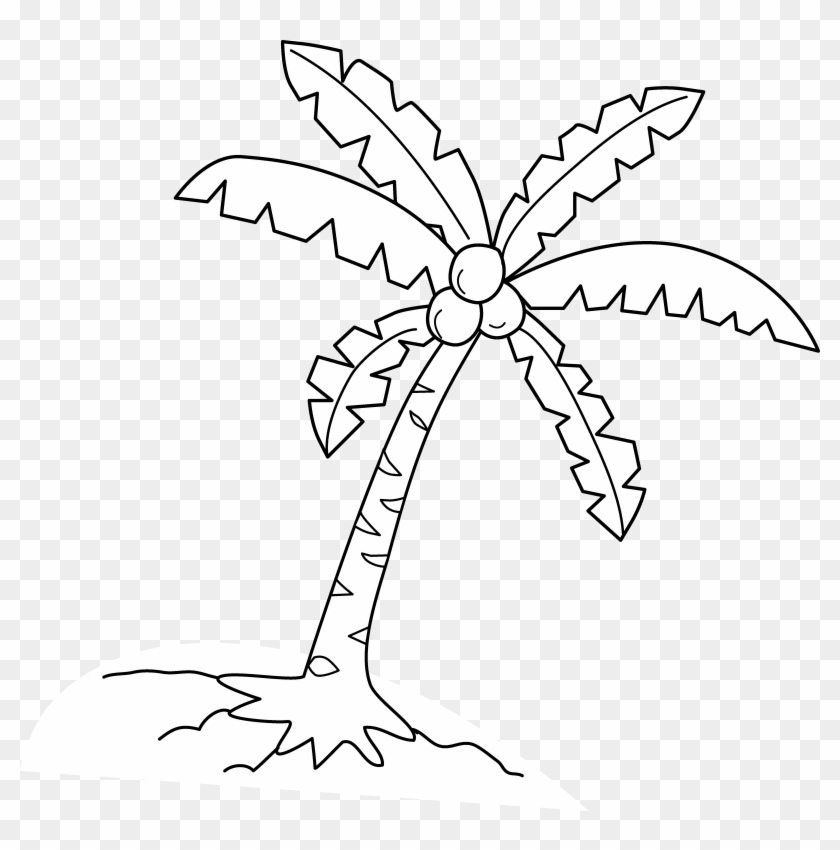 Palm Tree Clipart Sabal - Coconut Tree Vector White - Png Download #31085