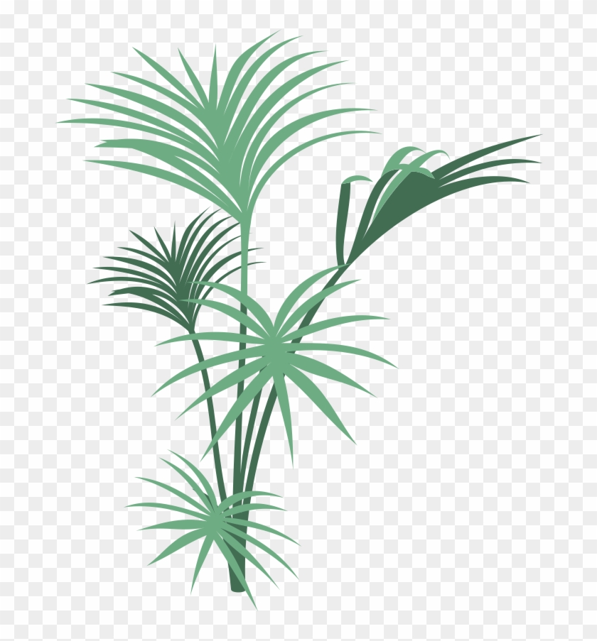 Jungle Plant Transparent Clipart #31449