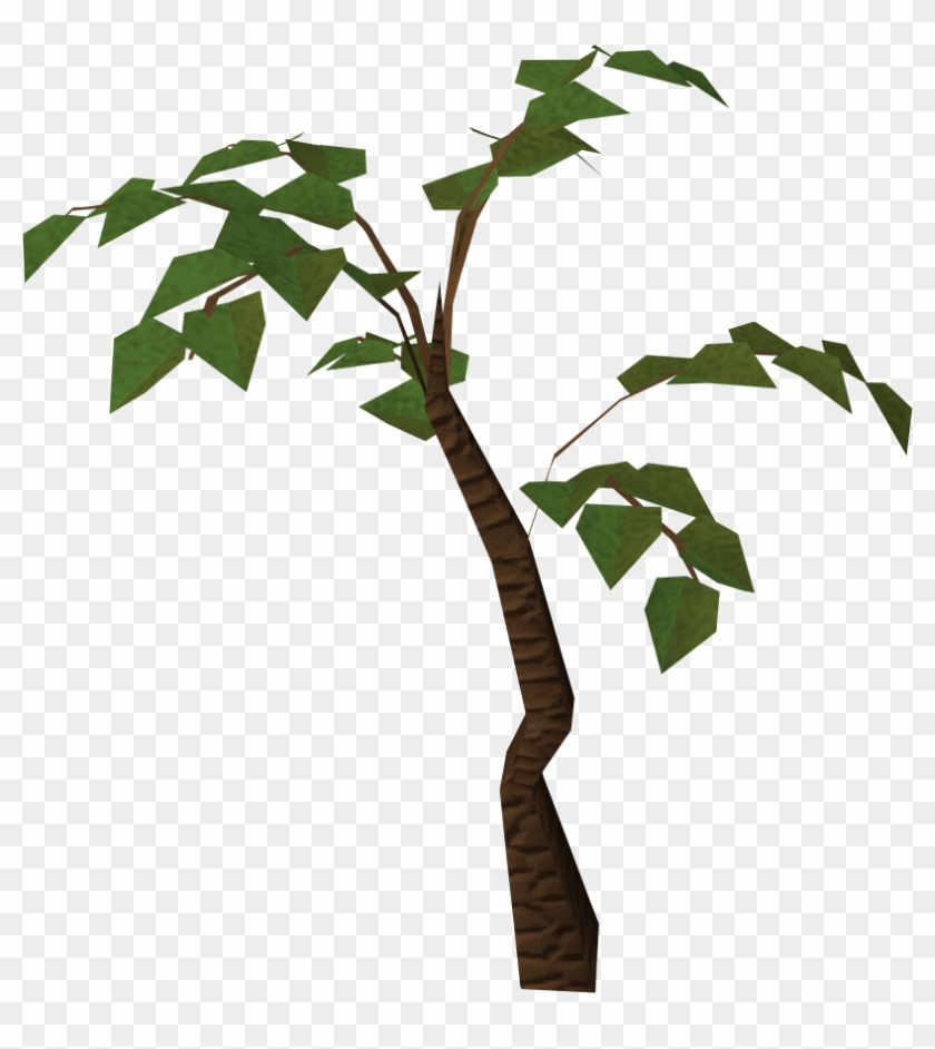 Jungle Tree Png Hd - Cartoon Jungle Tree Png Clipart #31513