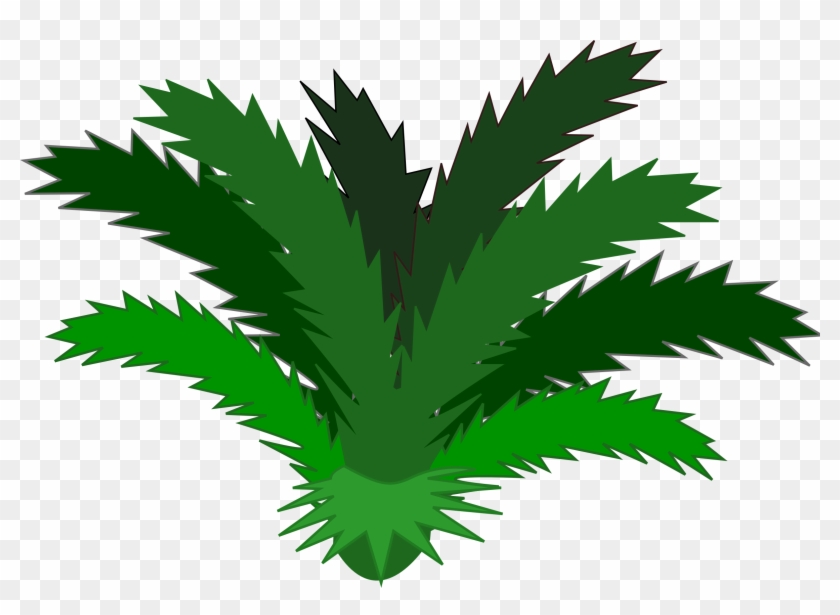 Jungle - Rainforest Plants Clip Art - Png Download