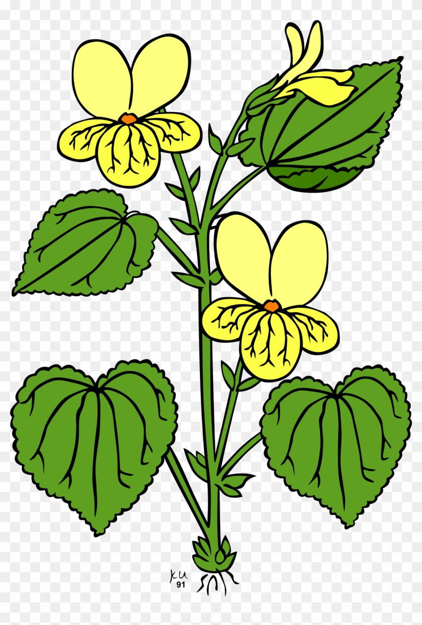 Free Garden Plants Clipart Tomato Garden Vine - Plant With Leaves And Flowers - Png Download