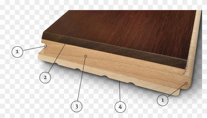 V3 Stablcor™ Technology - Plywood Clipart #32550