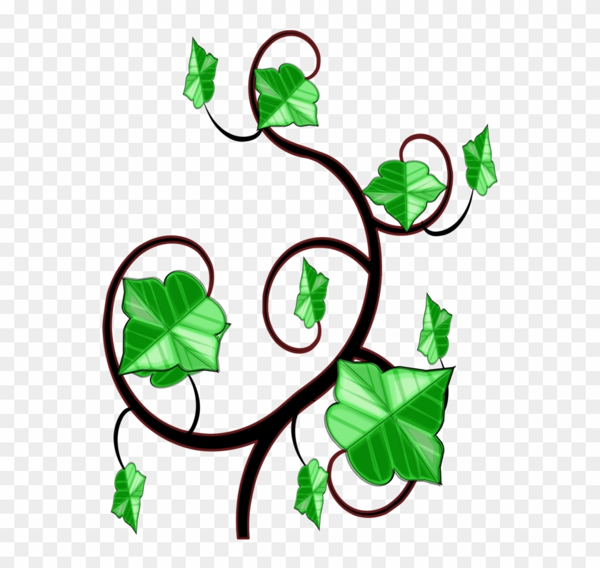 Common Ivy Computer Icons Vine Drawing - Clipart Ivy - Png Download #32595