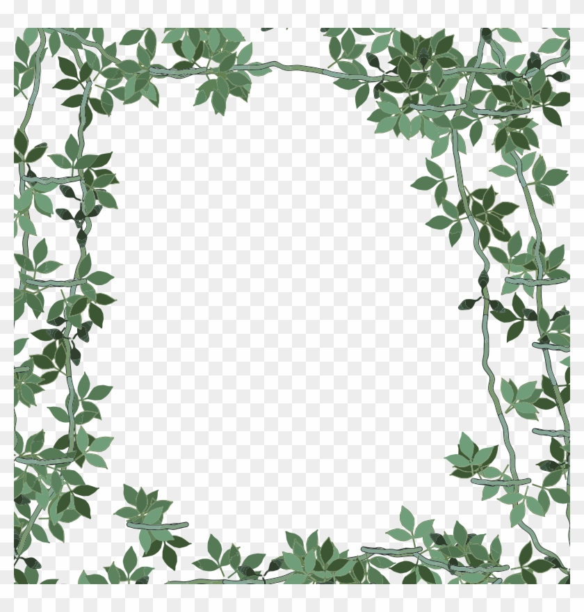 Vines Clipart Olive Green - Green Flower Frame Png Transparent Png