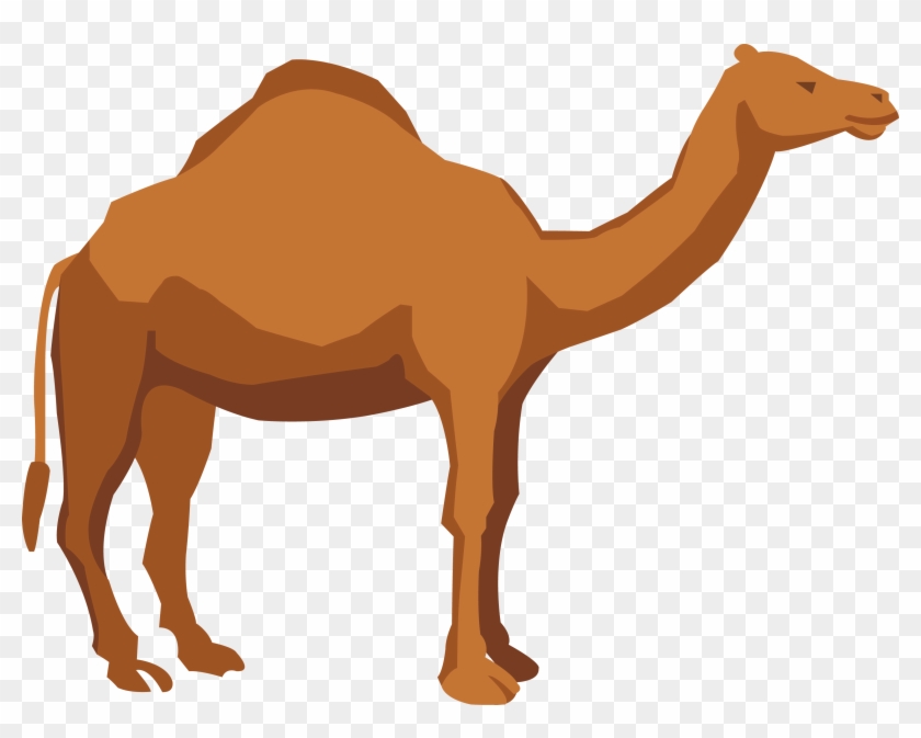 Camel Png Clipart #33051