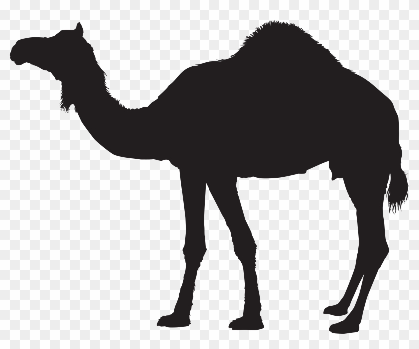 Camel Silhouette Transparent Png Clip Art #33093