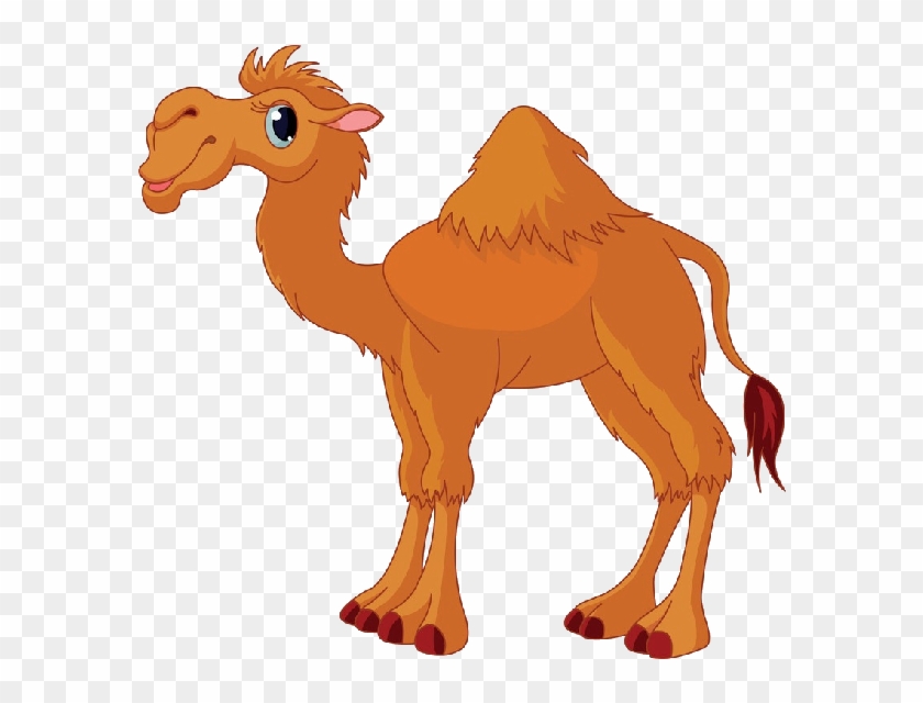 Camel Png Photo Transparent - Camel Clipart