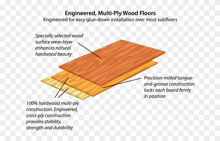 Engineered Hardwood Floors - Plywood Clipart #33181