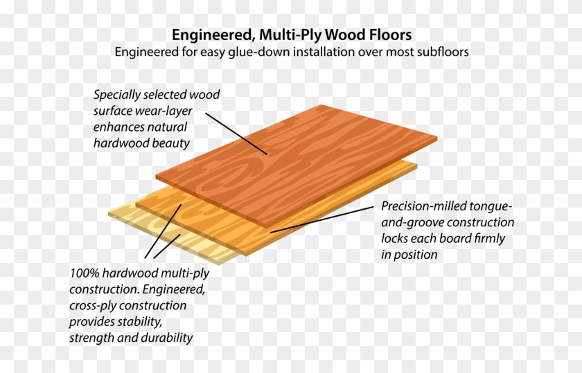 Engineered Hardwood Floors - Plywood Clipart #33181