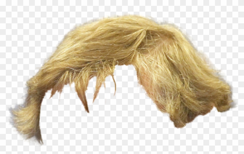 Blonde Hair Png Man , Png Download Clipart