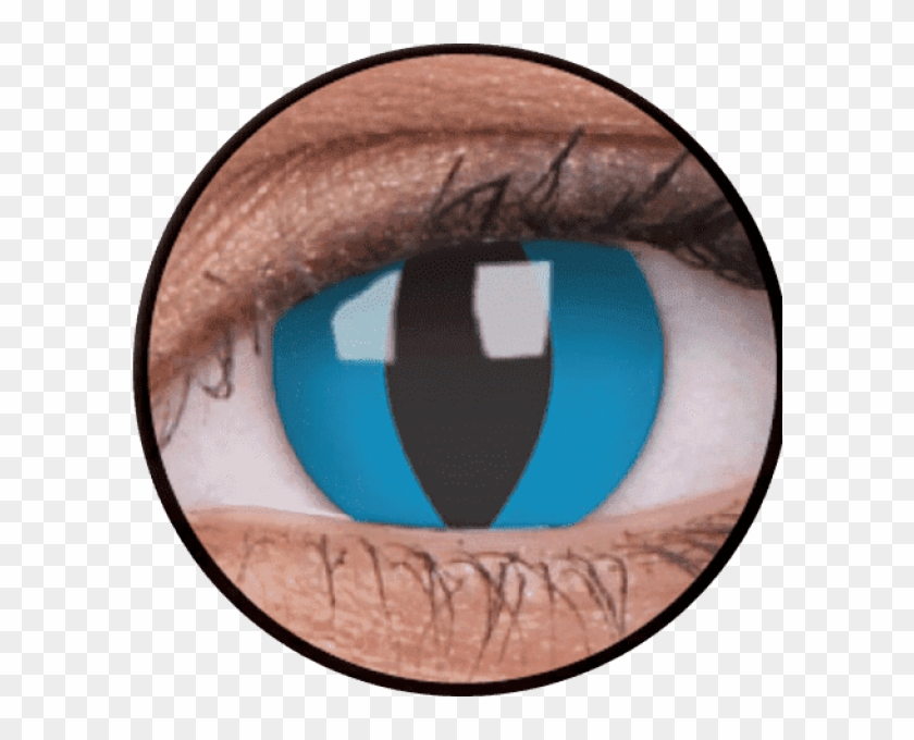 Crazy Lens - Cheshire Cat - Coloured Contact Lenses Nz Turquoise Clipart