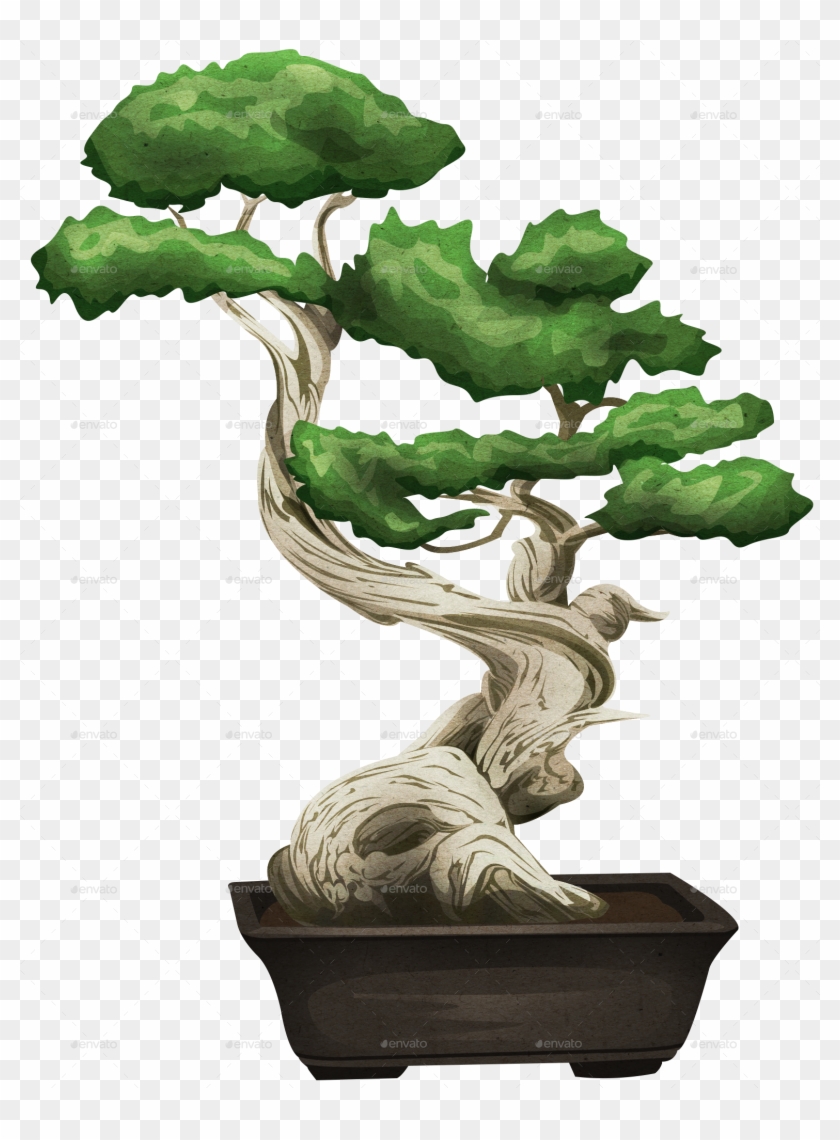 Bonsai Tree Png Clipart #33982