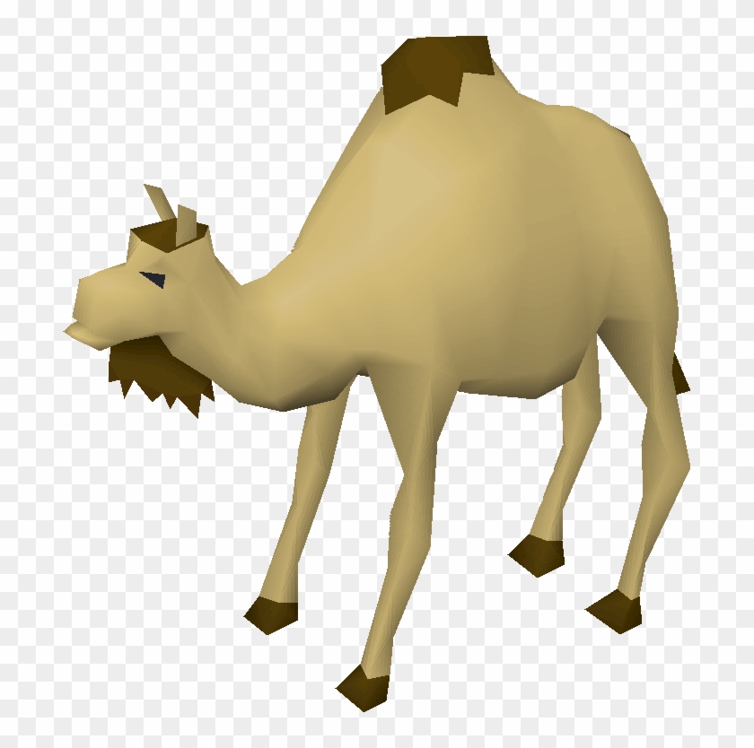 Runescape Camel Clipart #34266
