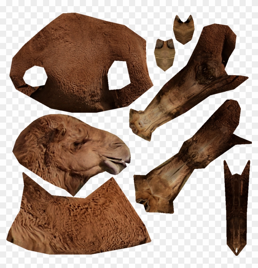 Camel - Thumb - - Masai Lion Clipart #34563