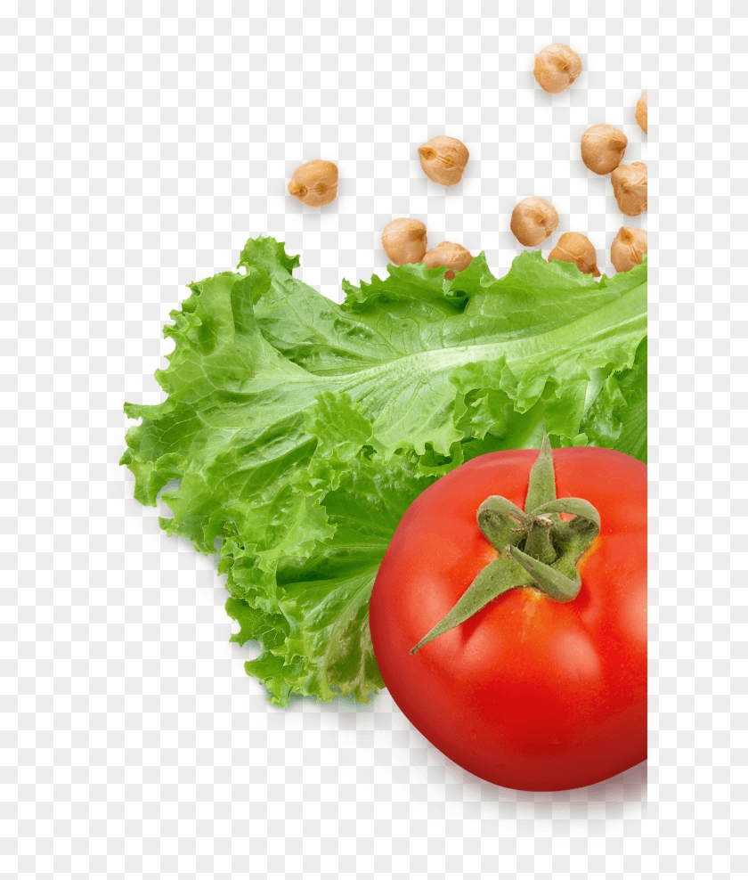 Lettuce And Tomatoes Png , Png Download - Tomatoes And Lettuce Png Clipart