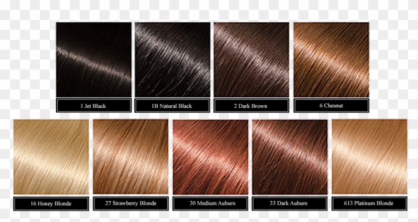 Colour - Lace Wig Clipart #35128