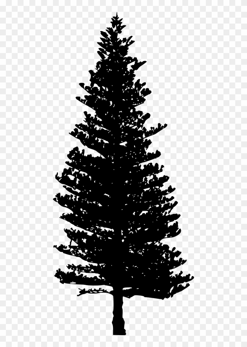 Free Png Pine Tree Silhouette Png - Pine Tree Silhouette Png Pines Clipart #35652