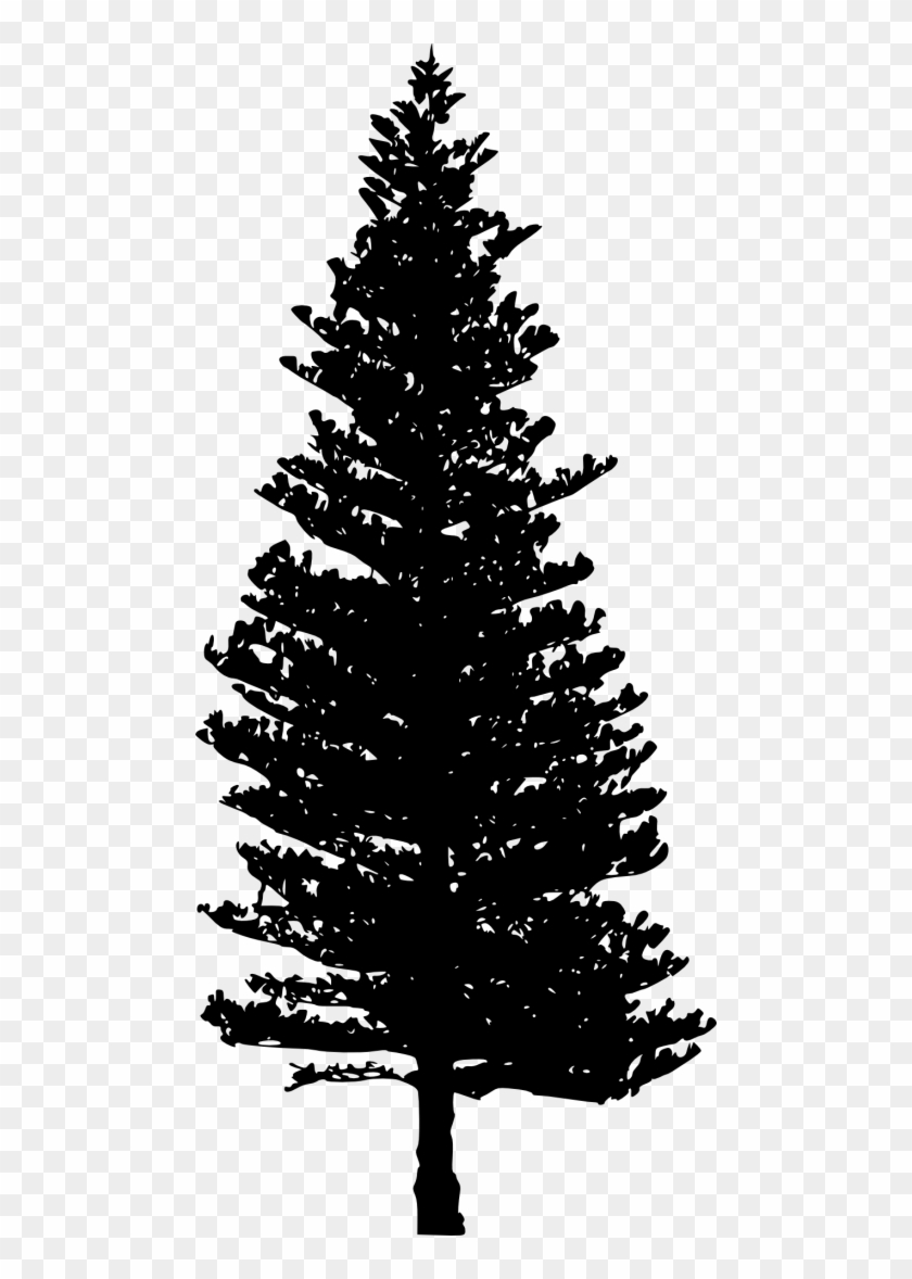 Free Png Pine Tree Silhouette Png - Pine Tree Silhouette Png Pines Clipart